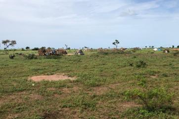 A field with grass, trees, and some structures.