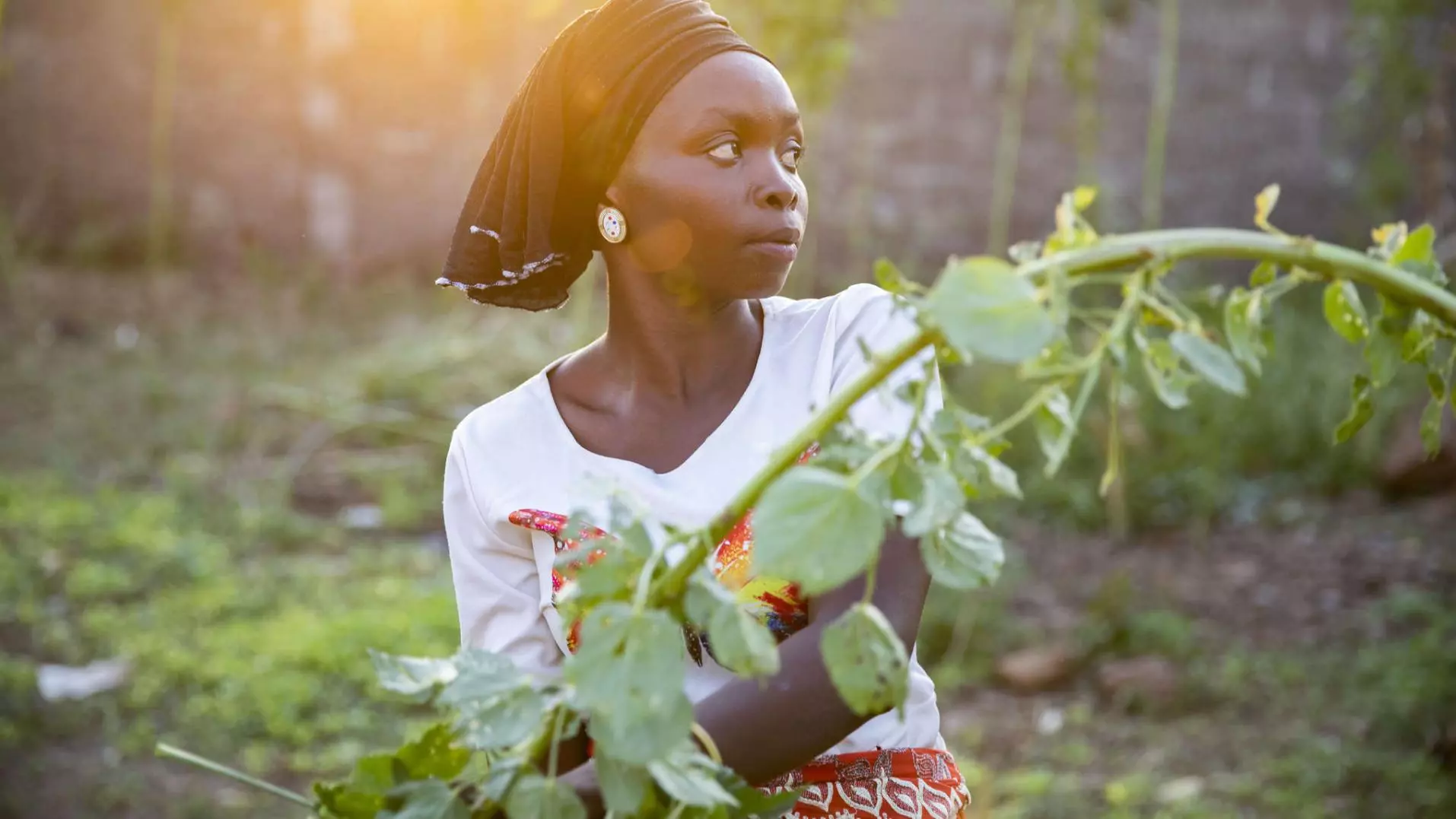 Feed The Future Nigeria Rural Resilience Activity | Mercy Corps