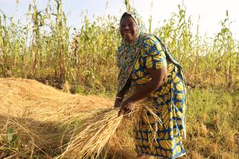 A person harvesting crops.