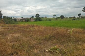 Dry farmland affected by low rainfall.