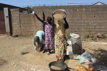 Members of hajia isa's group preparing for rice processing