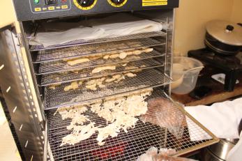 A person using a dehydrator. 