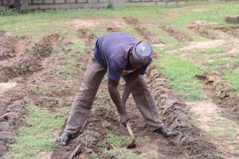 A person tilling a field.