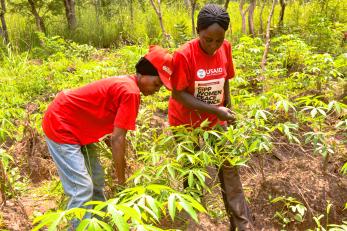 Members of the guma wpc in their cassava farm in kandeor community, makurdi lga.