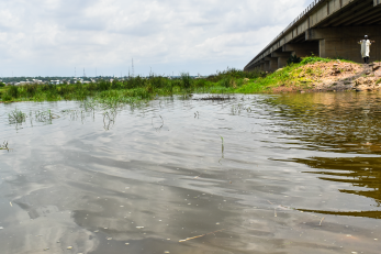 A swamp under a roadway where community members accessed water.