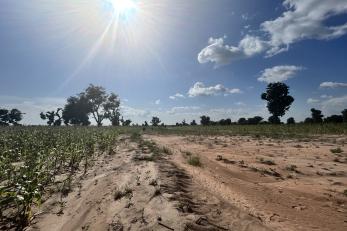 Agricultural scene in nigeria.