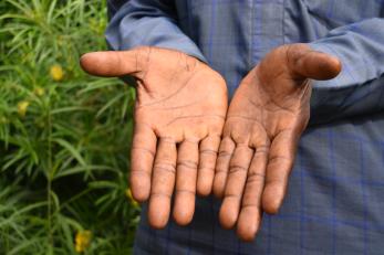 Hands facing palm outward in front of crops.