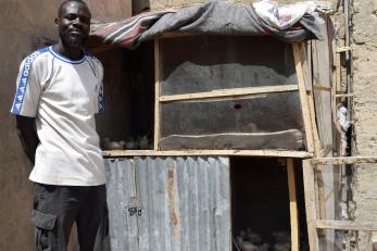 A person standing near their poultry cages.