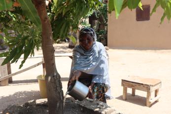 A person watering a tree in their garden.