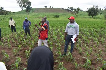 A group of farmers present in a demonstration farm plot.