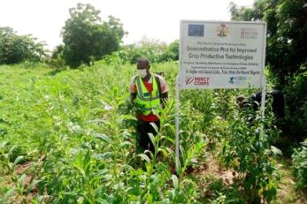 Staff showing farming practices in demo plot in Yobe.
