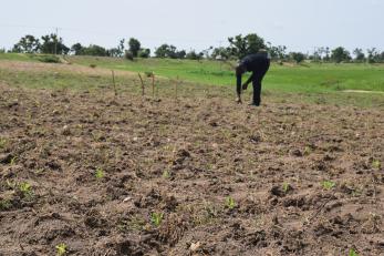 A farmer working a plot of land.