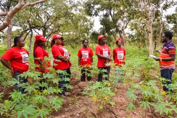 Members of the Guma WPC in their cassava farm in Kandeor community, Makurdi LGA.