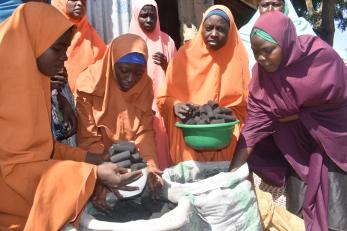 A group of people unpacking briquettes.