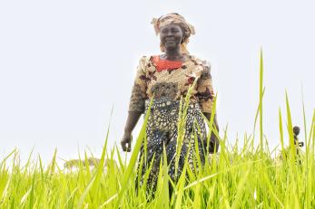 A person standing in a field.