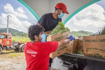 In Puerto Rico, the economic fallout of the pandemic has hit both farmers and families. To help, we partnered with a local farmers’ group to safely distribute food to community members without enough to eat.