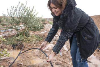 Water in Jordan is exceedingly limited, which is why we work to develop tools and incentives to save water. Here, Mercy Corps staff demonstrates how an upgraded irrigation system helps to improve crops and conserve water. Photo courtesy Cathy Cheney.