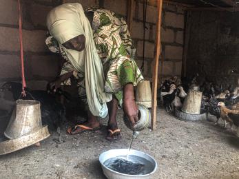 A participant pours water in to a bowl while surrounded by chicks.