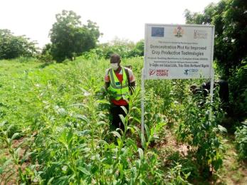 Staff showing farming practices in demo plot in yobe.