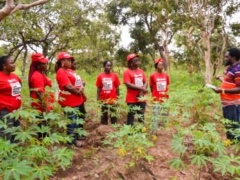 Members of the guma wpc in their cassava farm in kandeor community, makurdi lga.
