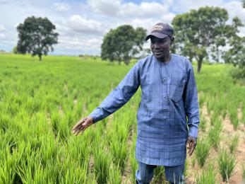 Nigerian farmer standing in his field.