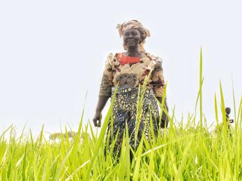 A person standing in a field.